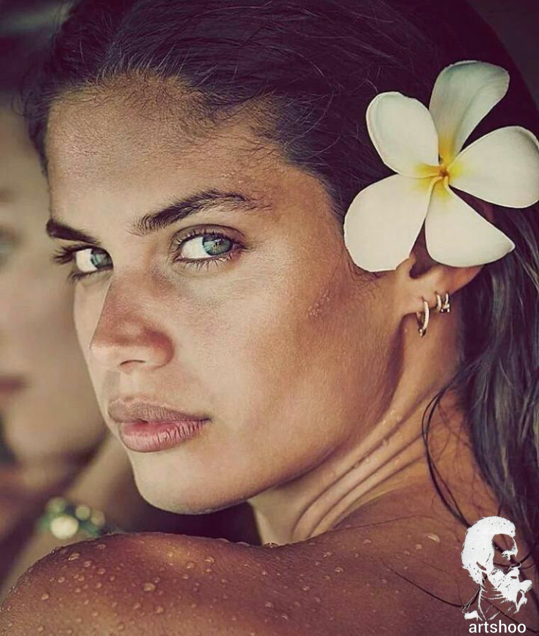 مدل رنگ روغن اورژینال